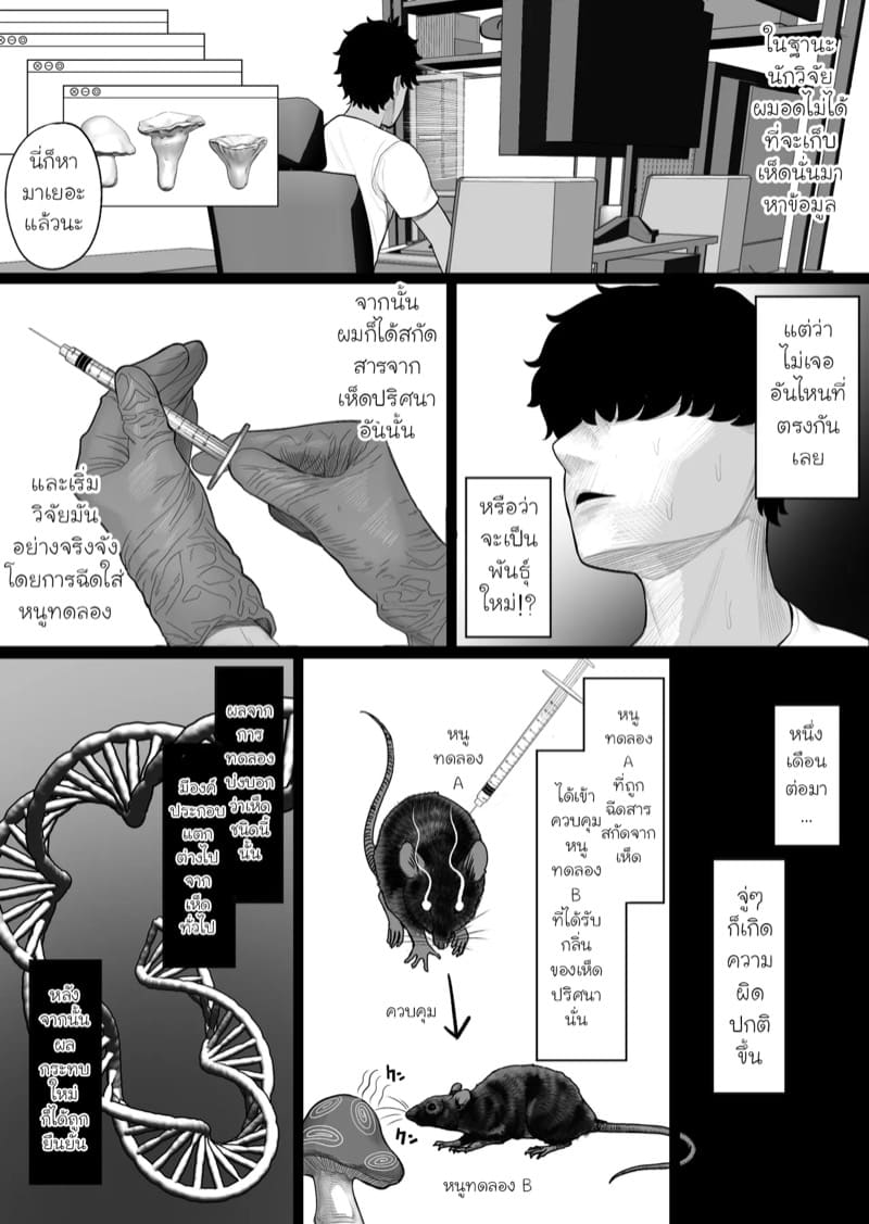 เห็ดกำราบแยงกี้